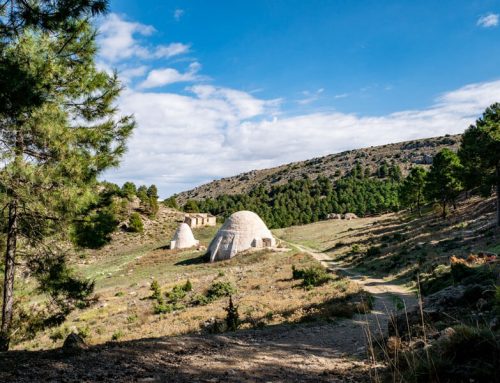 Sierra Espuña – und die grünen Wälder Murcias