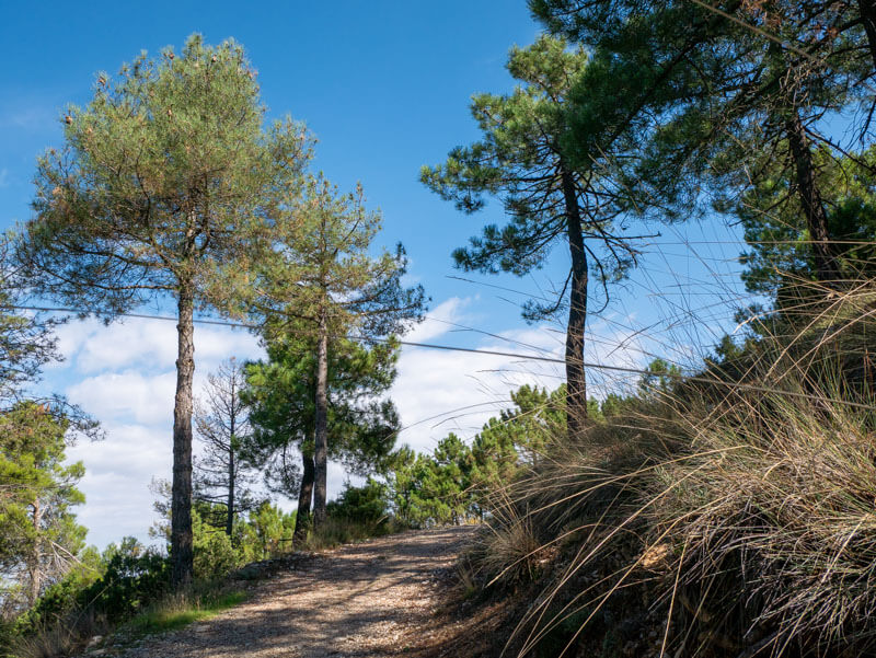  Sierra Espuña