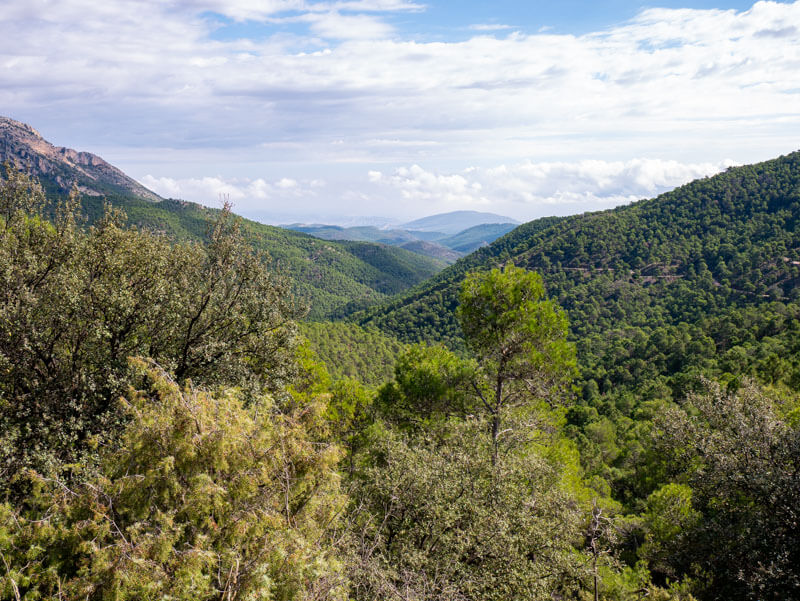 aufforstung Sierra Espuña