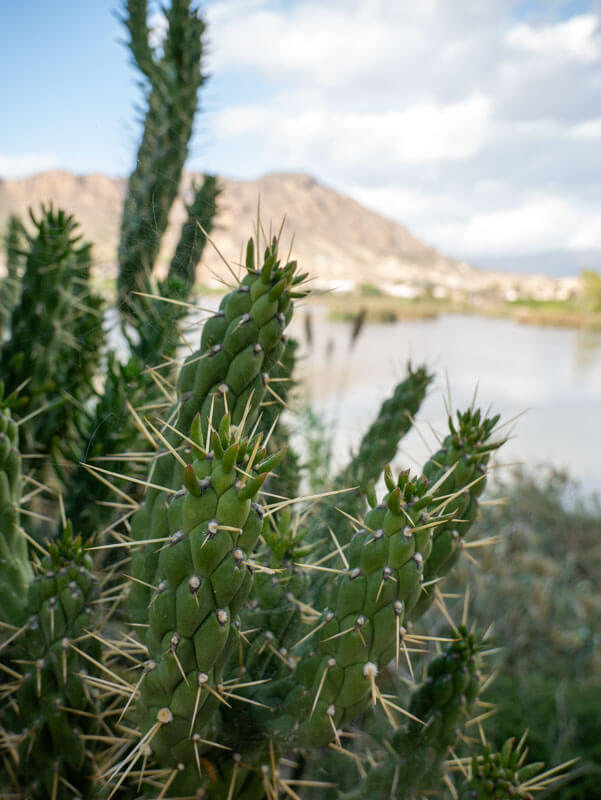 VAlle de Ricote