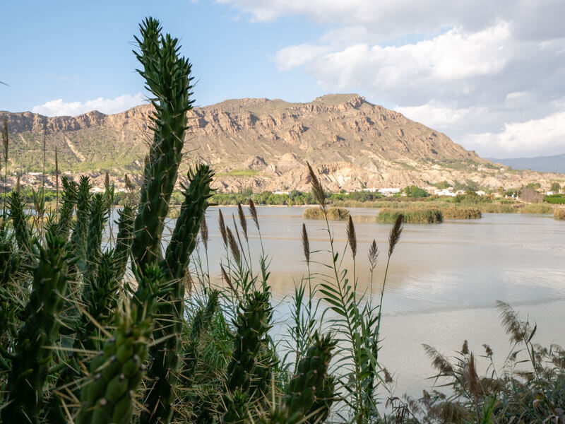 Valle de Ricote