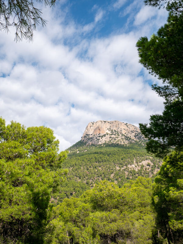 wandern-in-der-sierra-espuna 