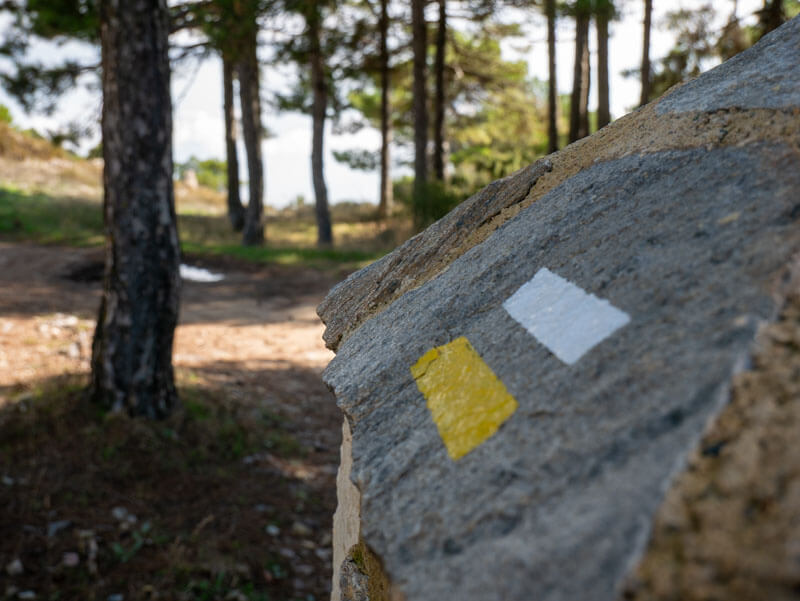 wandern-in-der-sierra-espuna 