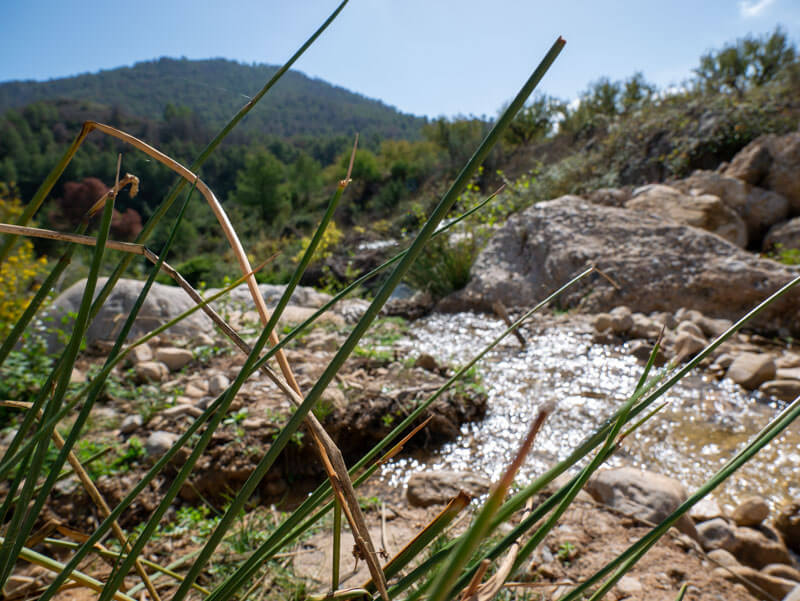 wanderwege Bullas